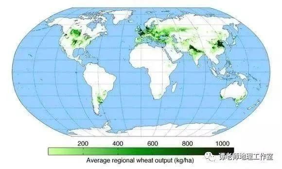 世界小麦生长主要分布地区？（我的世界小麦分布在哪里）
