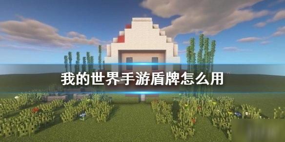 网易版我的世界护盾怎么用？（网易我的世界盾牌在哪里）