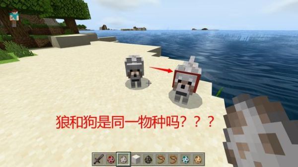 我的世界劫掠兽怎么驯服？（我的世界狗狼在哪里）