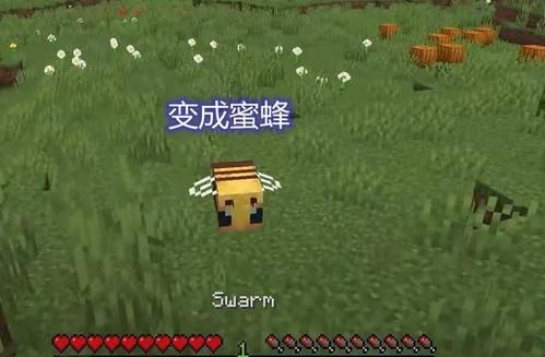 蜜蜂最少多少可繁殖？（我的世界不灭蜜蜂在哪里）