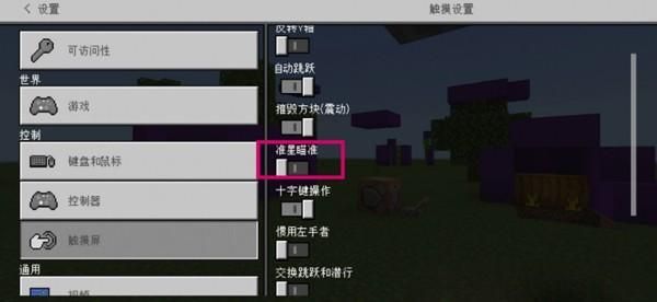 我的世界怎样才能练好准星？（我的世界电脑准星哪里调）