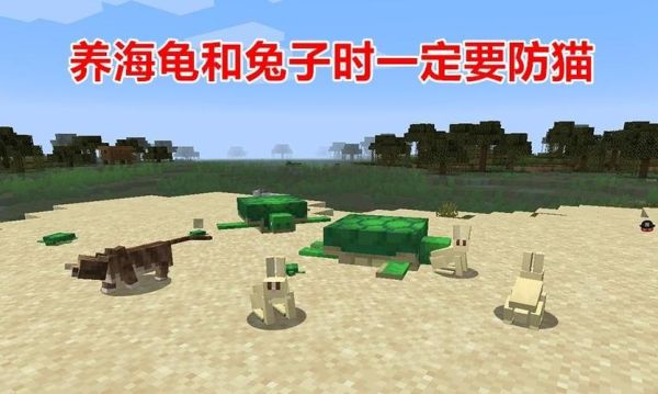 mc村庄流浪猫刷新条件？（我的世界哪里有流浪猫）