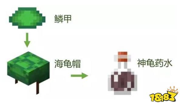 我的世界海龟蛋如何获取？（我的世界海草去哪里获得）