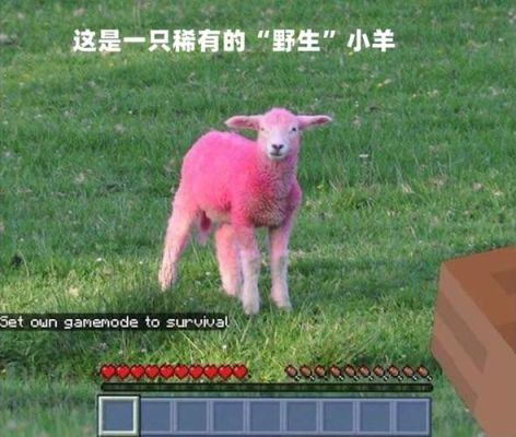 我要做一只小羊是什么歌？（我的世界粉色小羊在哪里）