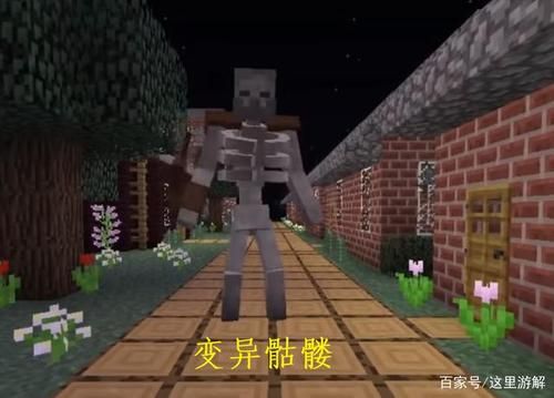 我的世界异世界所有怪物？（我的世界哪里小白骷髅最多）