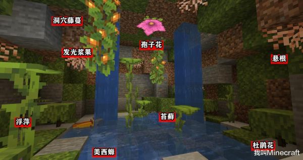 我的世界繁茂洞穴的植物有什么？（我的世界闪光牛在哪里）