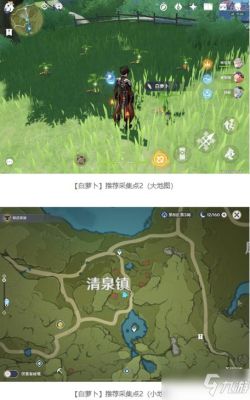 原神哪里能得到白萝卜和薄荷？（我的世界哪里可以弄到萝卜）