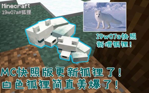 我的世界白狐狸怎么生成？（我的世界白狐在哪里生成）