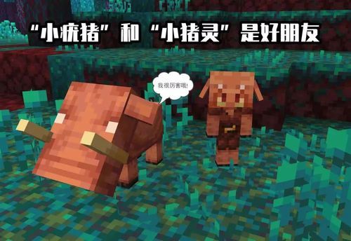 1.1市斤是多少千克？（在哪里下我的世界1.1）