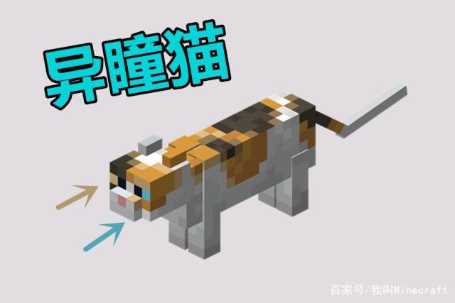 我的世界猫鱼鱼皮肤怎么找？（我的世界猫在哪里下载）