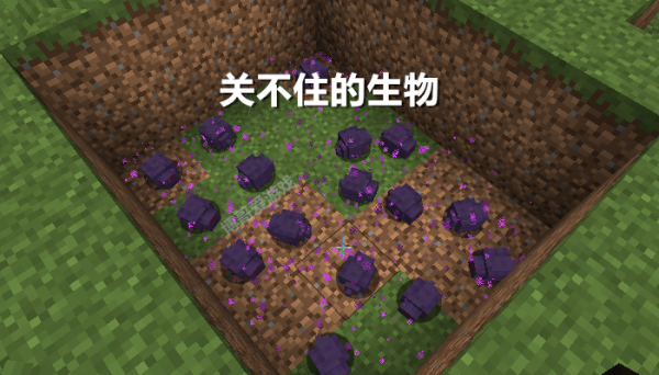 我的世界囊虫的代码？（我的世界囊虫在哪里出现）