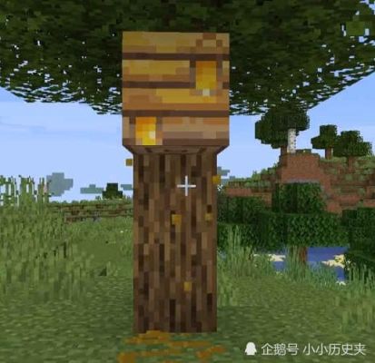 mc蜂箱怎么用？（我的世界蜂箱哪里是正面）