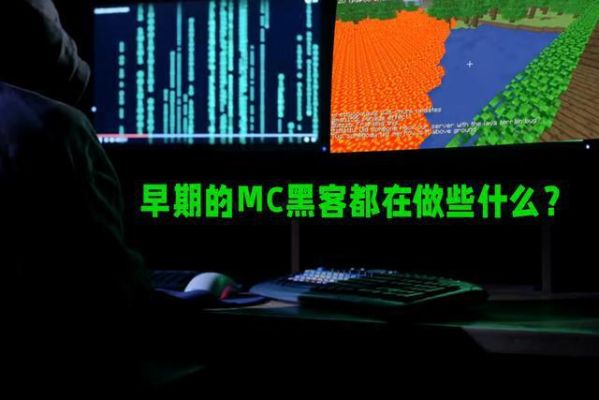 黑客进入交警系统？（我的世界黑客警官在哪里）