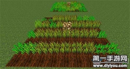 甘蔗种在什么方块上？（我的世界哪里长着甘蔗）