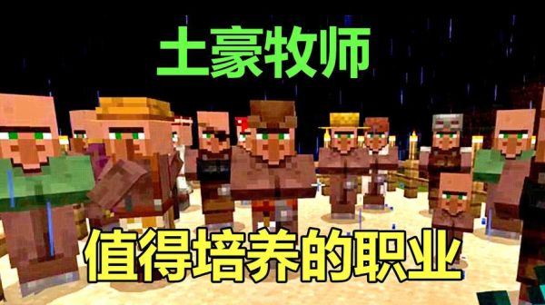 牧师是什么职业我的世界？（我的世界放置牧师在哪里）