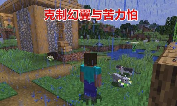 mc村庄流浪猫刷新条件？（我的世界猫哪里几率大）