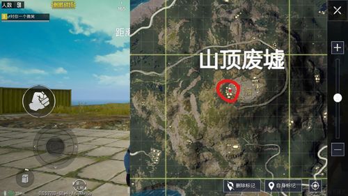 刺激战场怎么上树？（我的世界战场废墟在哪里）
