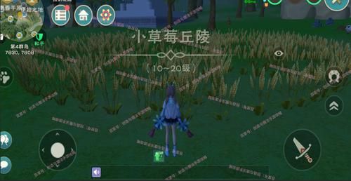 创造与魔法怎么获得小麦？（我的世界麦子在哪里获得）