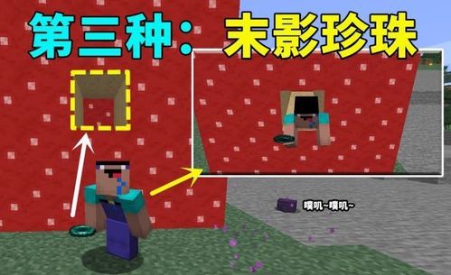 奶奶1.0版本怎么下载？（我的世界奶奶在哪里下载）