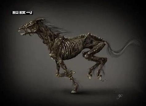 我的世界骷髅马怎么穿上马铠？（我的世界骷髅马放哪里）