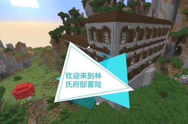 山东林姓由哪迁来？（我的世界籽衍在哪里）