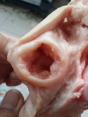 猪脚起疙瘩怎么回事？（我的世界小疙瘩在哪里）