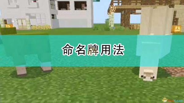 我的世界手机版怎样用命名牌倒立？（我的世界相框按钮在哪里）