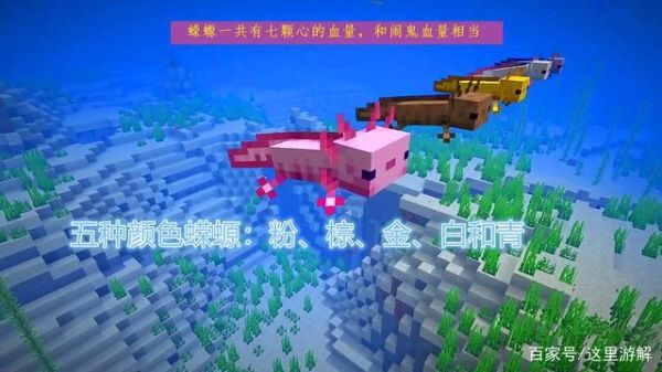 我的世界荧光鱼有几种颜色？（我的世界荧光鱼哪里有）