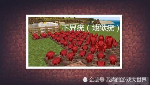 我的世界下界疣怎么找？（我的世界下界疣哪里有）