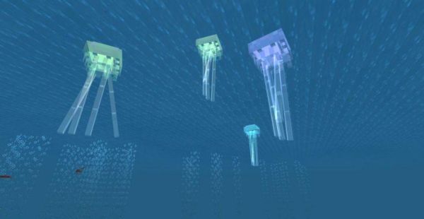 会发光的海洋生物有哪些？（我的世界发光墨鱼在哪里）