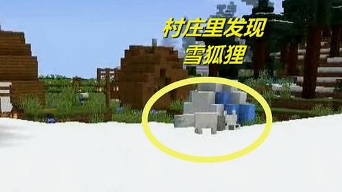 在我的世界里面怎么才能得到雪狐狸？（我的世界隐藏小麦在哪里）