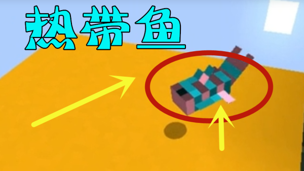 mc鱼怎么抓？（我的世界哪里有实体鱼）