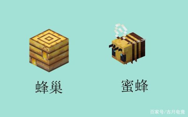 我的世界五级蜂巢什么样？（我的世界蜜蜂哪里比较多）