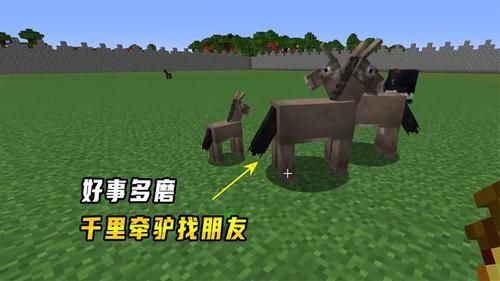 我的世界驴在什么地方刷新？（我的世界驴在哪里刷新）