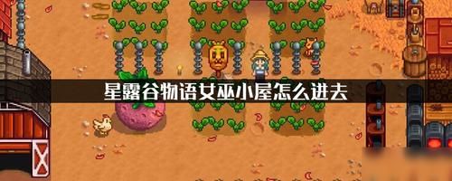 星露谷怎么去女巫小屋？（我的世界女巫农场在哪里）