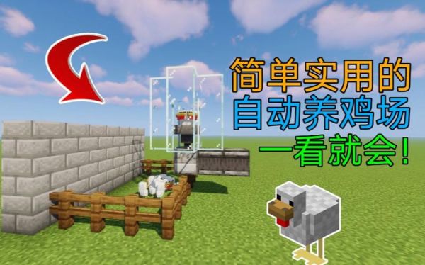 我的世界怎么养鸡？（我的世界在哪里养鸡最多）