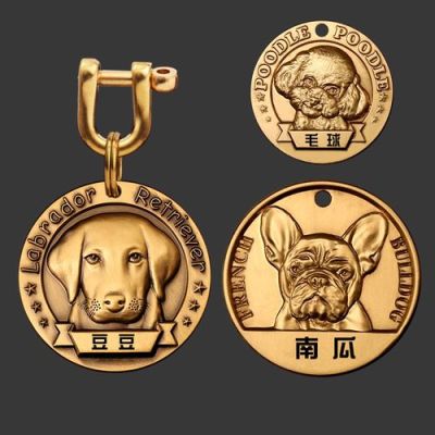 狗狗刚来家里要准备什么？（我的世界狗牌在哪里买）
