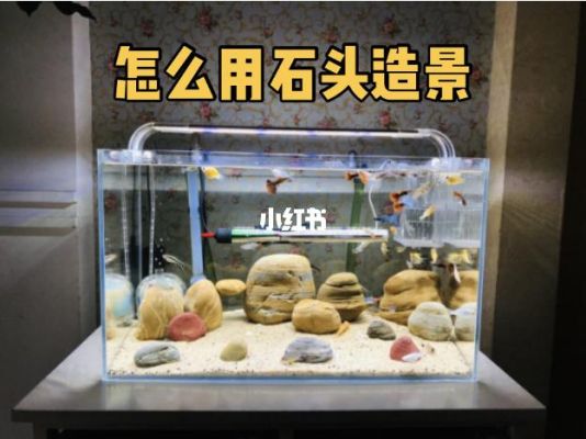 鱼缸的石头从哪找？（我的世界奇石在哪里）