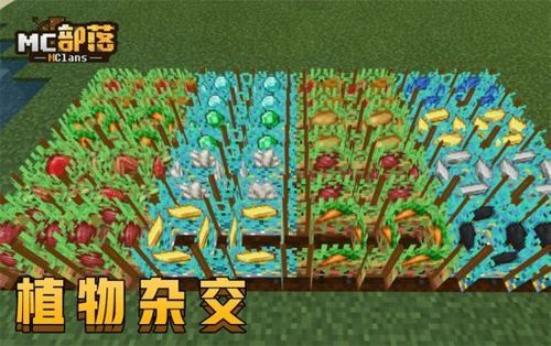 我的农场19关怎么玩？（我的世界小羊仓库在哪里）
