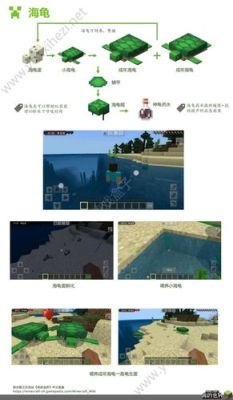 mc暖水海洋怎么找？（我的世界溺尸在哪里）