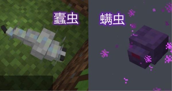 蠹虫可以吃吗？（我的世界蠹虫哪里不能寄生）