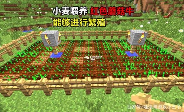 mc棕色蘑菇哪里找？（我的世界蘑菇在哪里看）