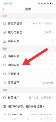 为什么我的快手极速版没有放映厅？（我的世界极速模式在哪里）