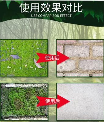 用什么可以很快去除青苔？（我的世界哪里刷苔藓快）