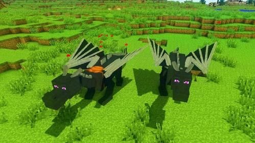 我的世界坐骑mod-我的世界动物坐骑mod怎么用LShif？（我的世界宠物mod放哪里）