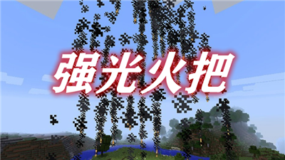 我的世界电脑版(1.2)为什么火把拿手上没光?(移动光源)？（我的世界版1.2哪里下）