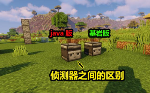我的世界红石侦测器怎么用？（我的世界在哪里学红石）