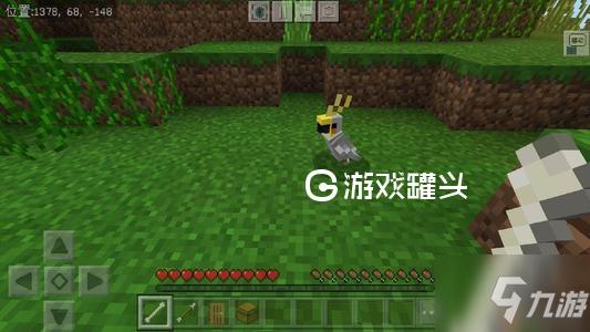 我的世界鹦鹉怎么找到？（我的世界豹猫在哪里有）