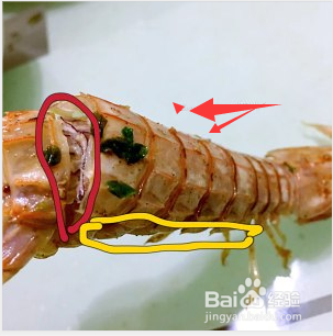 剥皮皮虾的简单方法？（我的世界小刀厨房在哪里）