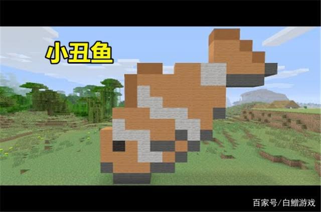 我的世界怎么装鱼？（我的世界里哪里有鱼）